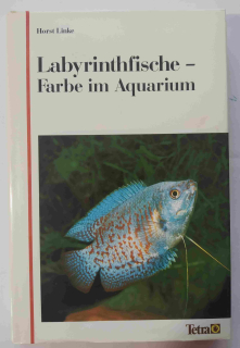 Labyrinthfische - Farbe im Aquarium