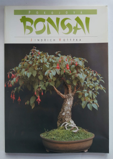 Pokojová Bonsai